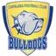Picture for Capalaba Bulldogs U23