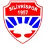 Logo of Silivrispor