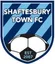 Logo of Shaftesbury Town