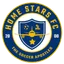 Logo of Home Stars