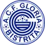 A.C.F. Gloria Bistrita