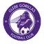 Logo for Glebe Gorillas FC