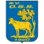 Logo of OSS 20