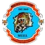 Logo of Medina United FC