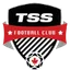 Logo of TSS