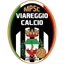 Picture for Viareggio Calcio U19