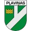 Plavinas DM
