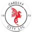 Picture for Cardiff (w)
