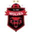 Logo of Wollongong Wolves