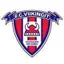 Logo of Viikingit