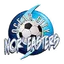 Logo of Ocean City Noreasters