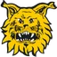 Logo of Ilves Tampere