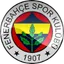 Logo for Fenerbahce (Youth)