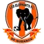 Les Elephants FC