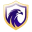 Logo of Falcon FC SE Youth