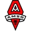 Logo of AMSG FC