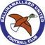 Logo of Ballinamallard United