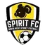 Picture for GHFA Spirit FC U20