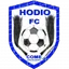 Logo of Hodio