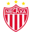 Logo for Necaxa