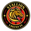 Stallion Laguna FC