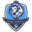 Logo of Accra Lions