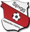 Logo of SpVgg Hankofen-Hailing