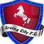 Logo of Irving City FC