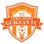Logo of Anhui Hefei Guiguan