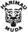 Harimau Muda A