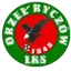Logo of Orzel Ryczow