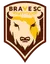 Logo of Brave SC