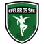 Logo of Efeler 09