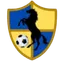 Logo of Racing United