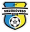 Logo of Mezokovesd Zsory FC