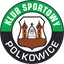 Gornik Polkowice