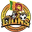 Logo of Up Country Lions SC