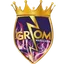 Logo of Grom Warsaw B