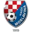 NK Moslavina Kutina