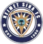 Logo of Nejmet Sinai FC