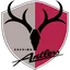 Logo of Kashima Antlers U18