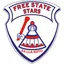 Free State Stars