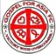 Logo of Chinland FC
