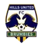 Logo of Hills Brumbies