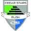 Logo of Cedar star
