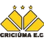Logo of Criciuma U19