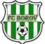 Druzstevnik Borov