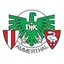 Logo of DJK Ammerthal