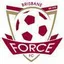 Logo for Brisbane Force FC