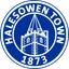 Logo of Halesowen Town